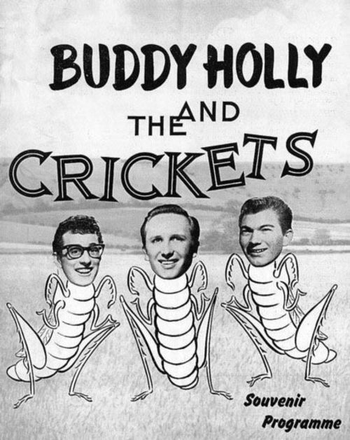 Buddy Holly UK tour programme