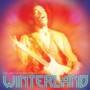 Jimi Hendrix Winterland – deluxe edition