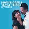 Icon: Marvin Gaye & Tammi Terrell