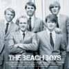 Beach Boys - Icons