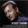 Bobby Darin - Icon