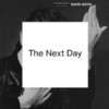 David Bowie - The Next Day Vinyl