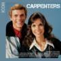 Carpenters - Icon