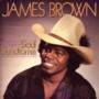 James Brown - Soul Syndrome LP