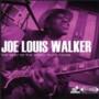 Joe Louis Walker - The Best of the Stony Plain Years