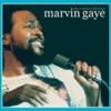 Marvin Gaye - Concert Anthology