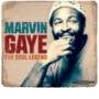 Marvin Gaye - The Soul Legend