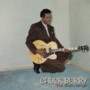 Chuck Berry - One Dozen Berrys