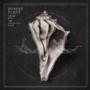 Robert Plant - lullaby and... The Ceaseless Roar