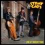 Stray Cats - Live at the Roxy 1981