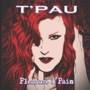 T'Pau  - Pleasure and Pain