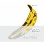 Velvet Underground and Nico 45th Anniversary Deluxe Edition