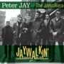 Peter Jay and the Jaywalkers -  Jaywalkin: Singles 1962 - 1965
