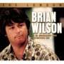 Brian Wilson - The Lowdown