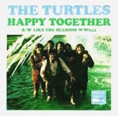 The Turtles