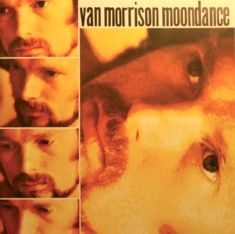 Van Morrison Moondance album